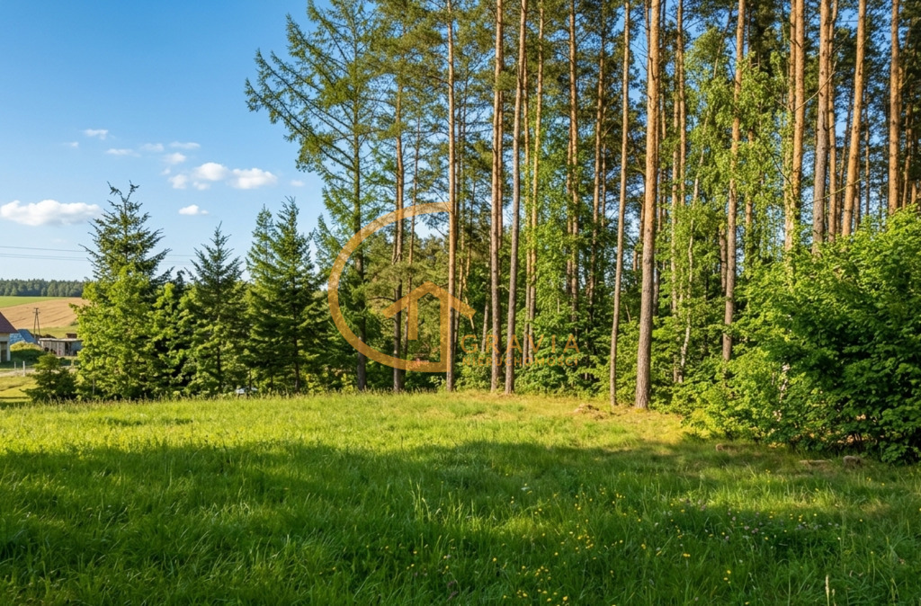 Przetoczyno - działki budowlane przy lesie