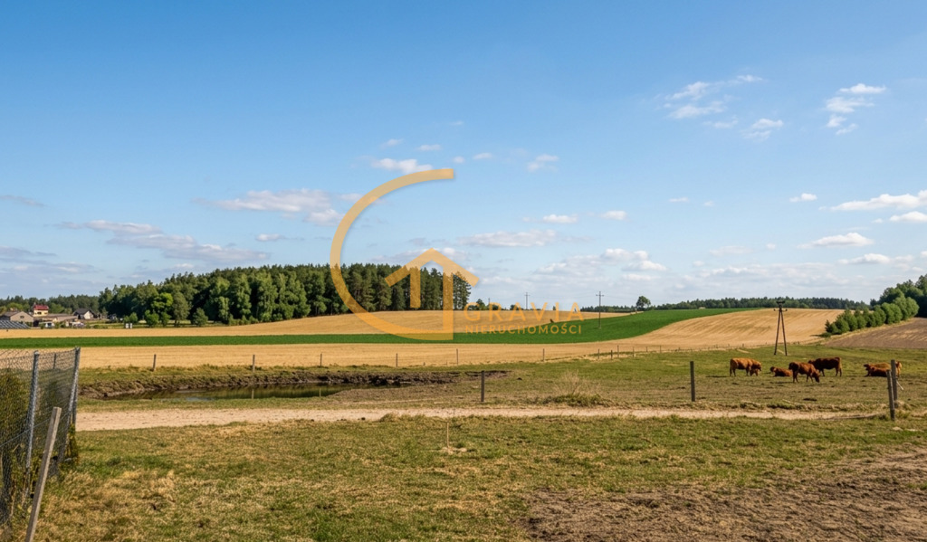 Przetoczyno - działki budowlane przy lesie