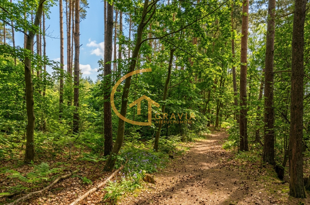Przetoczyno - działki budowlane przy lesie