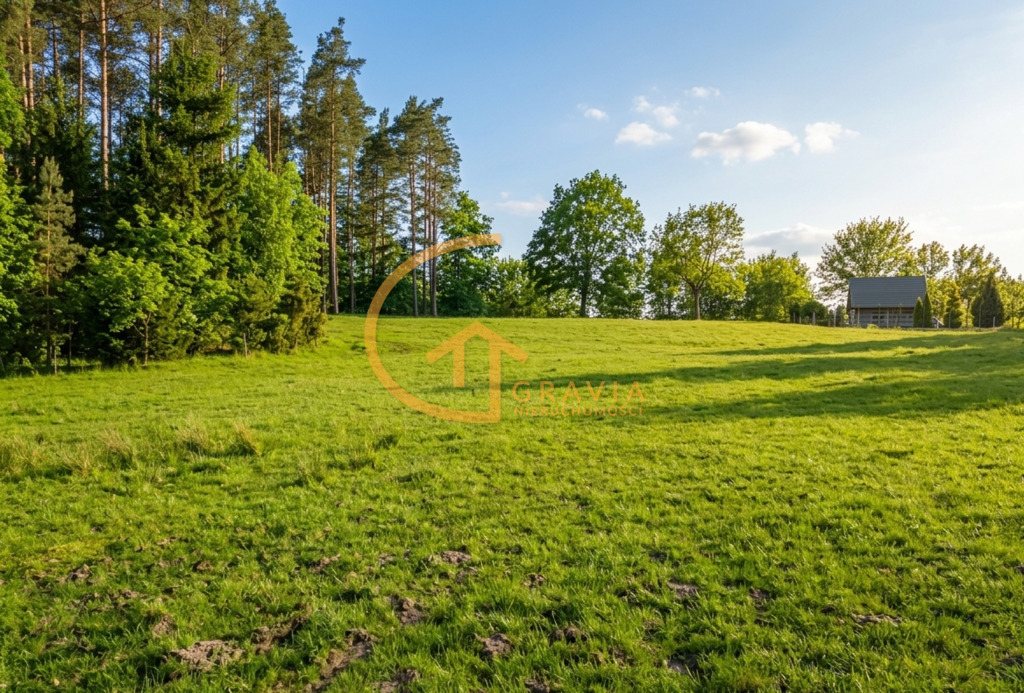 Przetoczyno - działki budowlane przy lesie