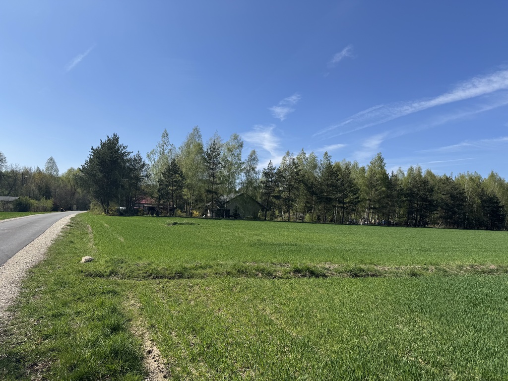 Las, cisza i zieleń - miejsce na Twój nowy dom