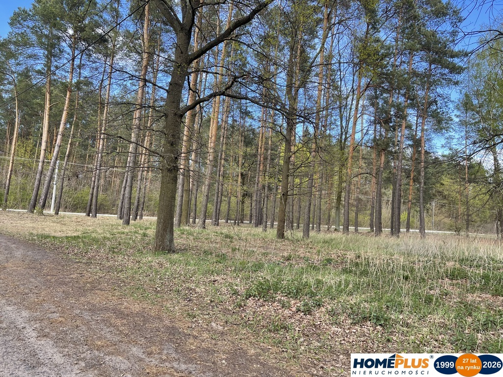 Działka bud. 960 m² przy lesie, zielona okolica.