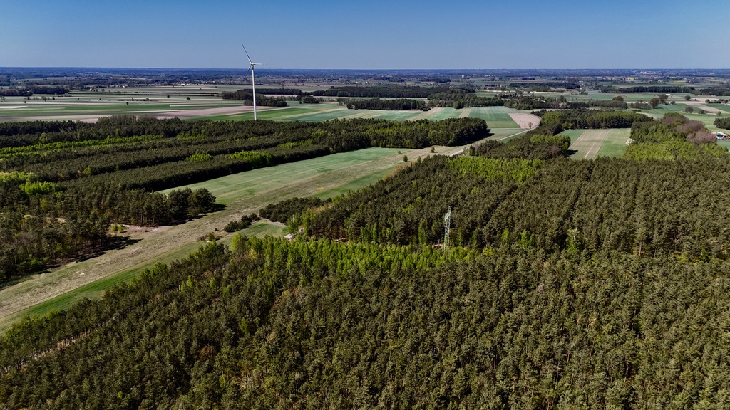 Twoja Oaza pod Łodzią – Działka 1518m2 w Skórce