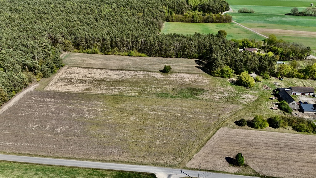 Twoja Oaza pod Łodzią – Działka 1518m2 w Skórce