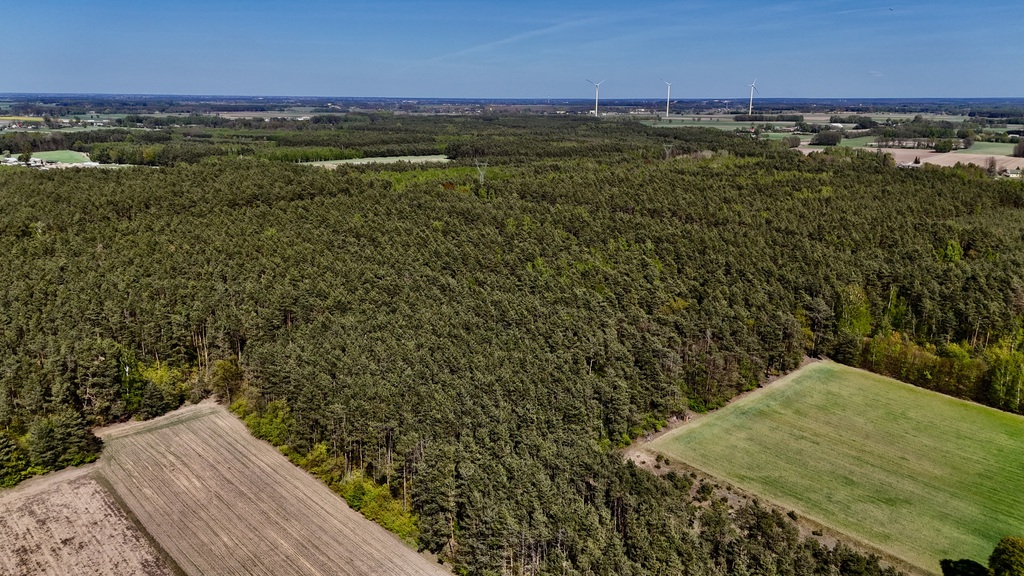 Twoja Oaza pod Łodzią – Działka 1518m2 w Skórce