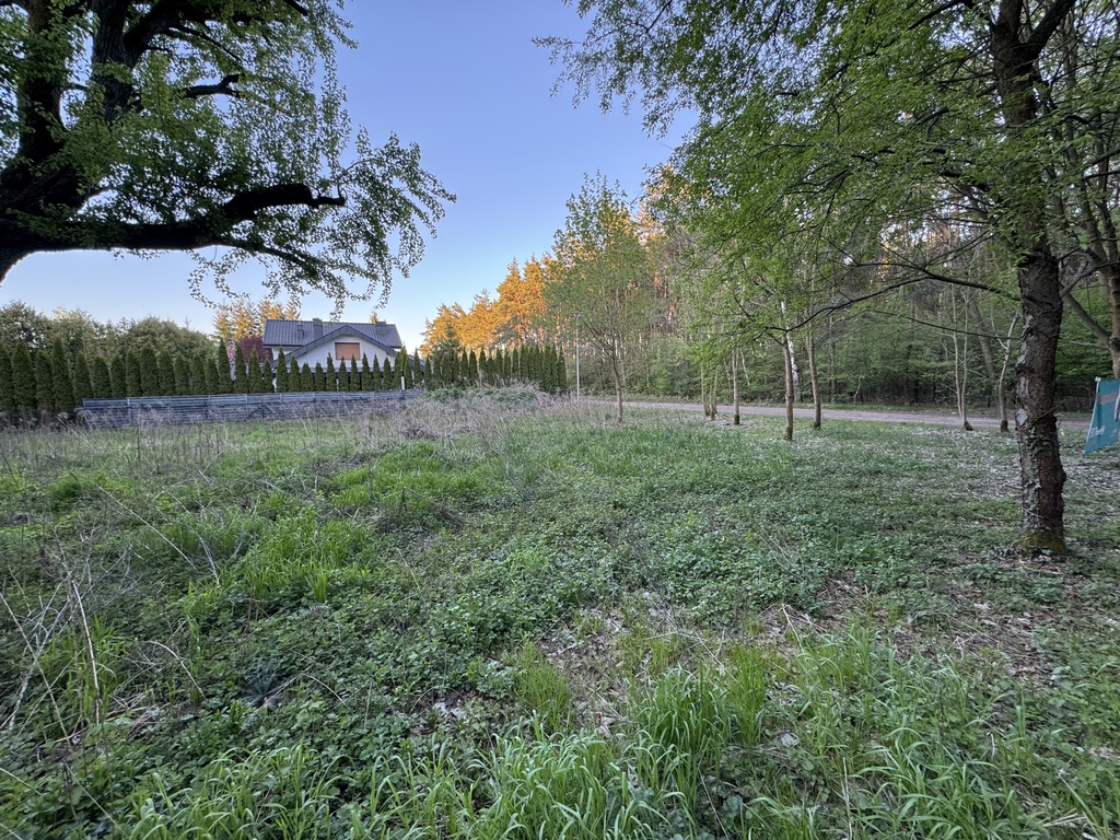 1233 m² spokoju. Las za płotem w Puszczykowie