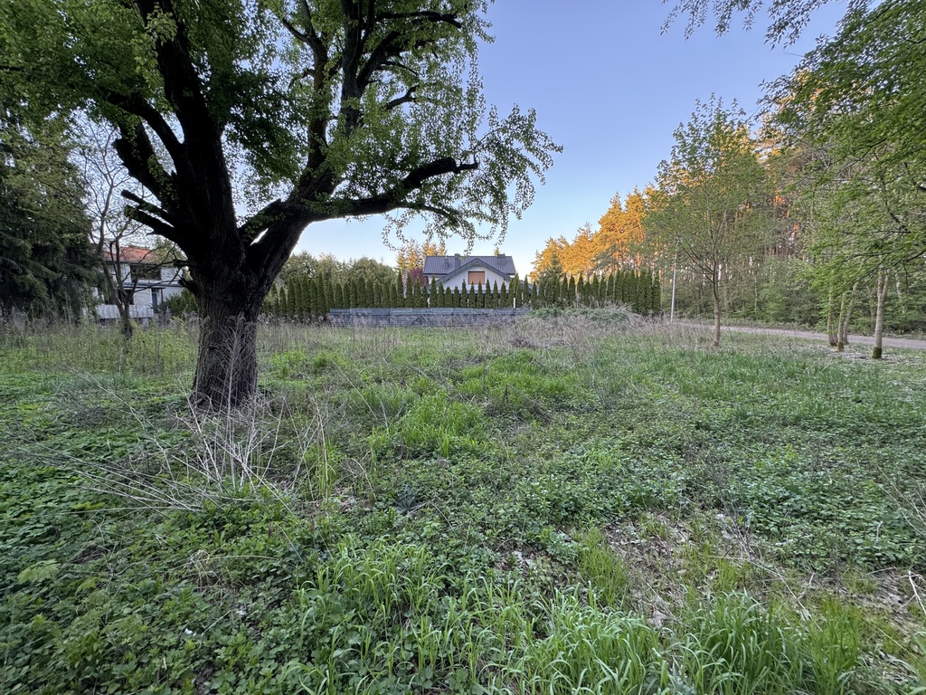 1233 m² spokoju. Las za płotem w Puszczykowie