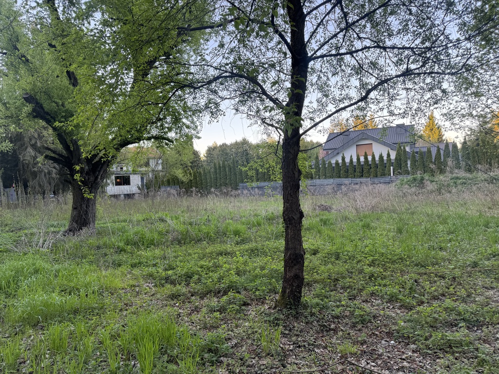 1233 m² spokoju. Las za płotem w Puszczykowie