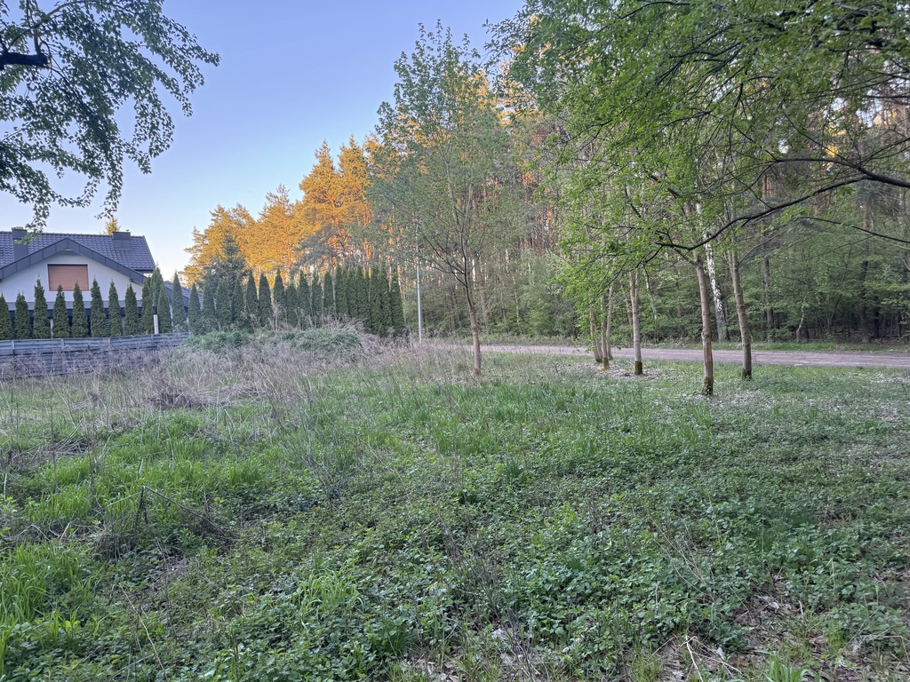 1233 m² spokoju. Las za płotem w Puszczykowie