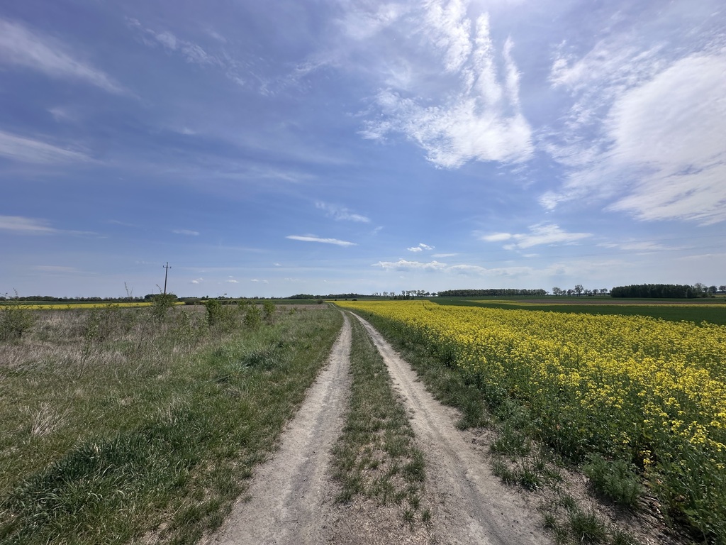 Działki na sprzedaż w Bożnowie