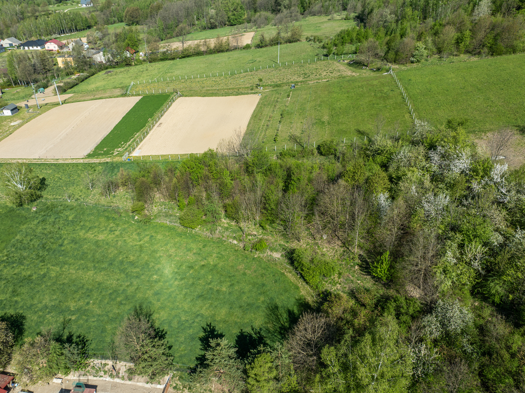 Widokowa działka budowlana | Lubenia | 2800 m²