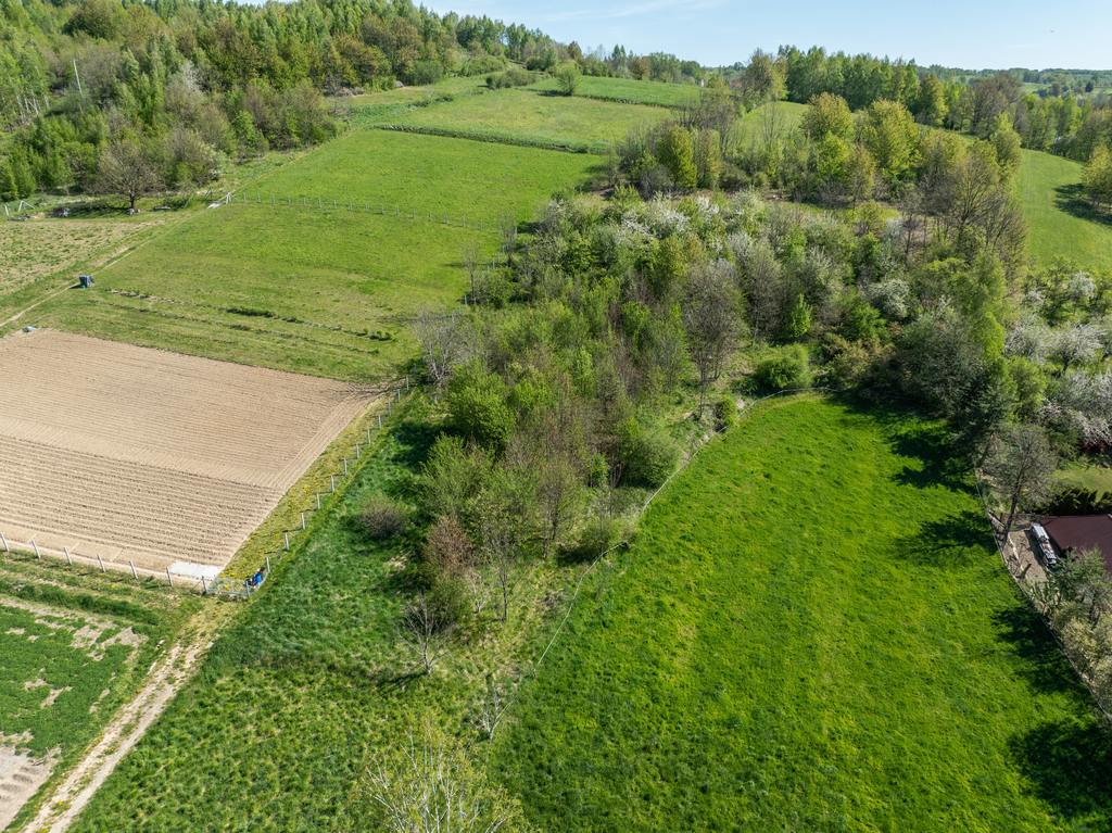 Widokowa działka budowlana | Lubenia | 2800 m²