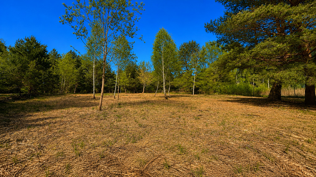 Działka budowlana 998 m² – Konstancin-Jeziorna