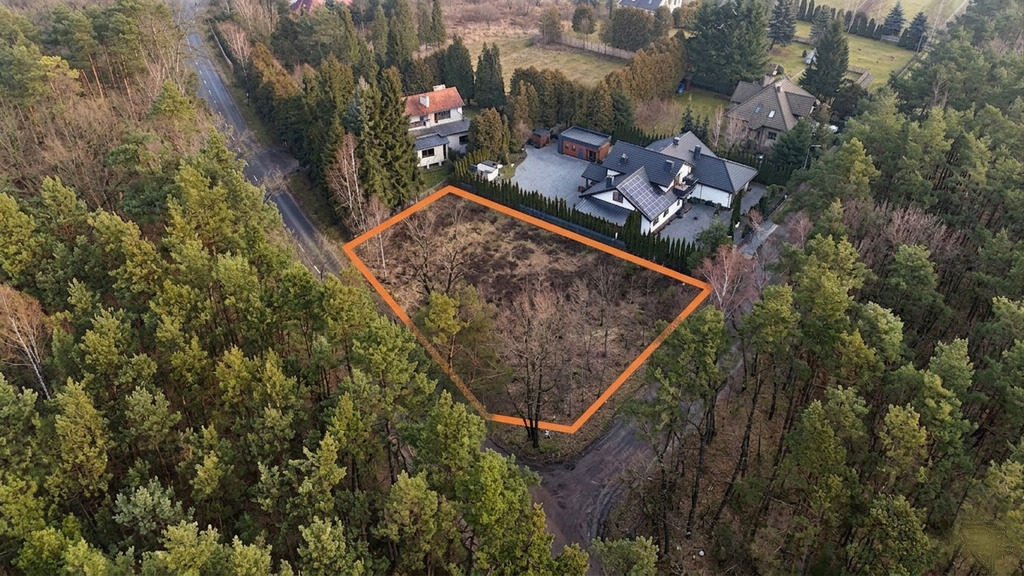 1233 m² spokoju. Las za płotem w Puszczykowie