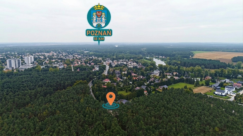 1233 m² spokoju. Las za płotem w Puszczykowie
