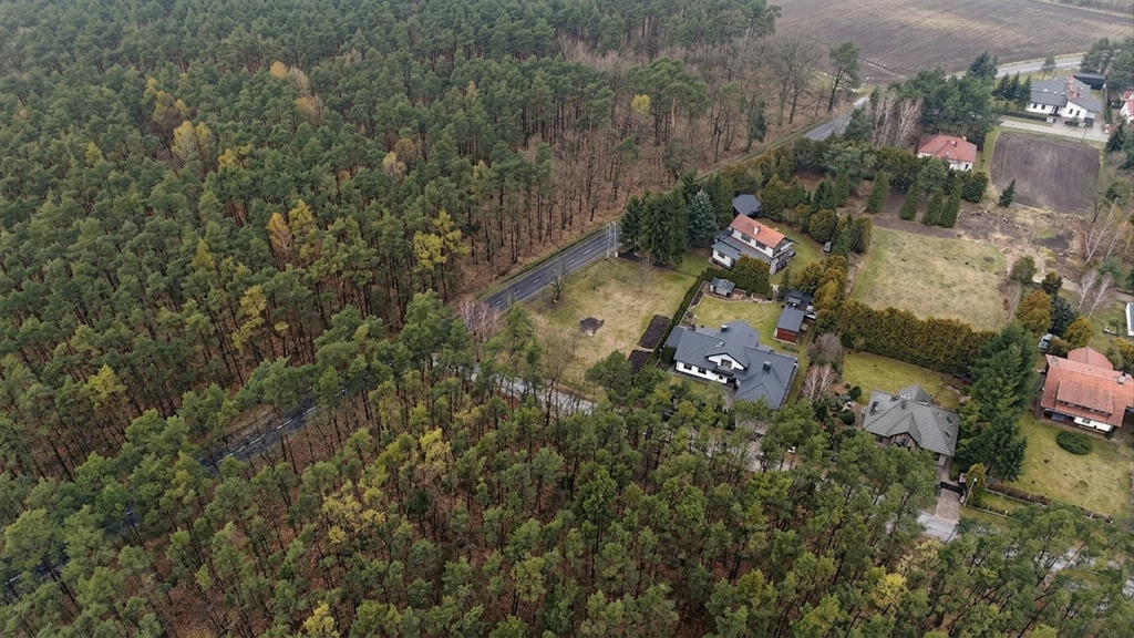 1233 m² spokoju. Las za płotem w Puszczykowie