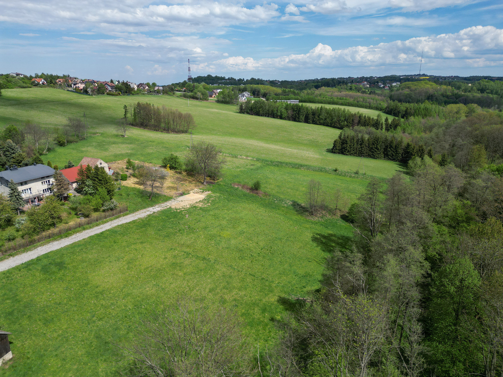 Grabówki - inwestycja w naturę, 40 ar przy lesie