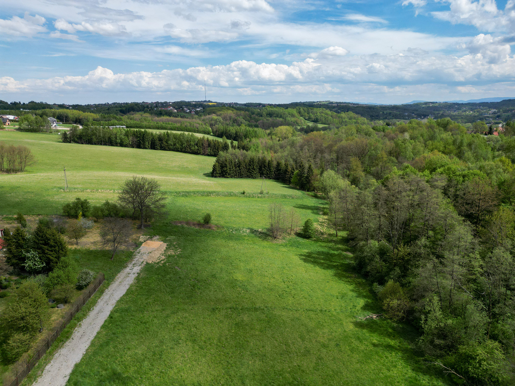 Grabówki - inwestycja w naturę, 40 ar przy lesie