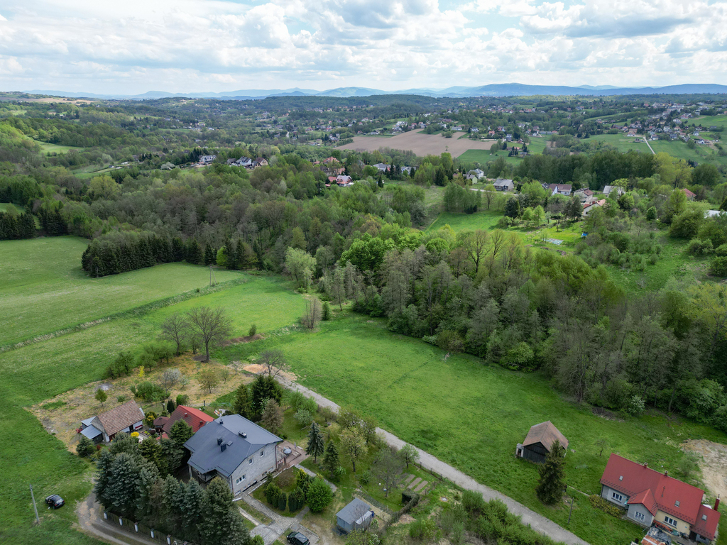 Grabówki - inwestycja w naturę, 40 ar przy lesie