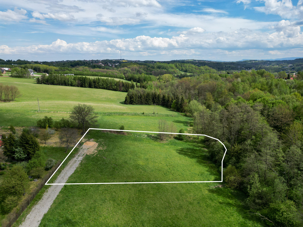 Grabówki - inwestycja w naturę, 40 ar przy lesie