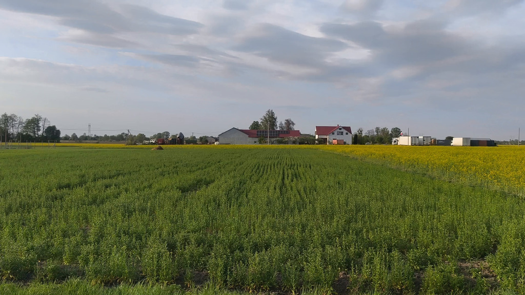 Działka Wola Miedniewska 2999m2 z WZ - OKAZJA!