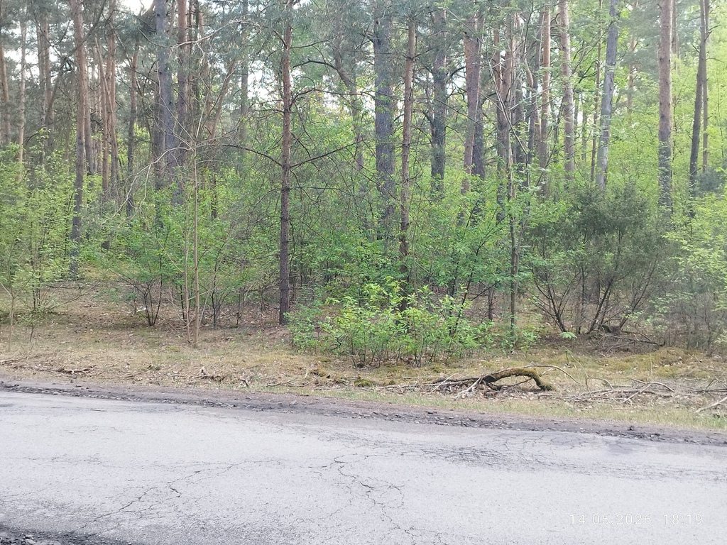 Działka budowlana 1200 m² Helenów, MPZP