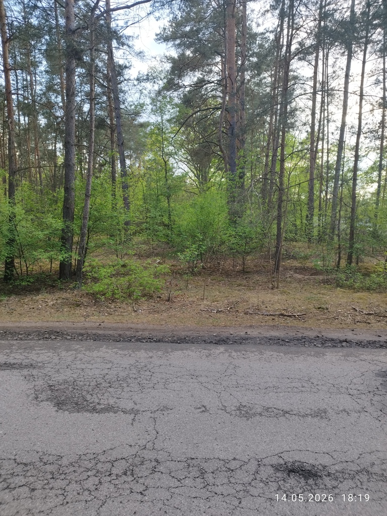 Działka budowlana 1200 m² Helenów, MPZP