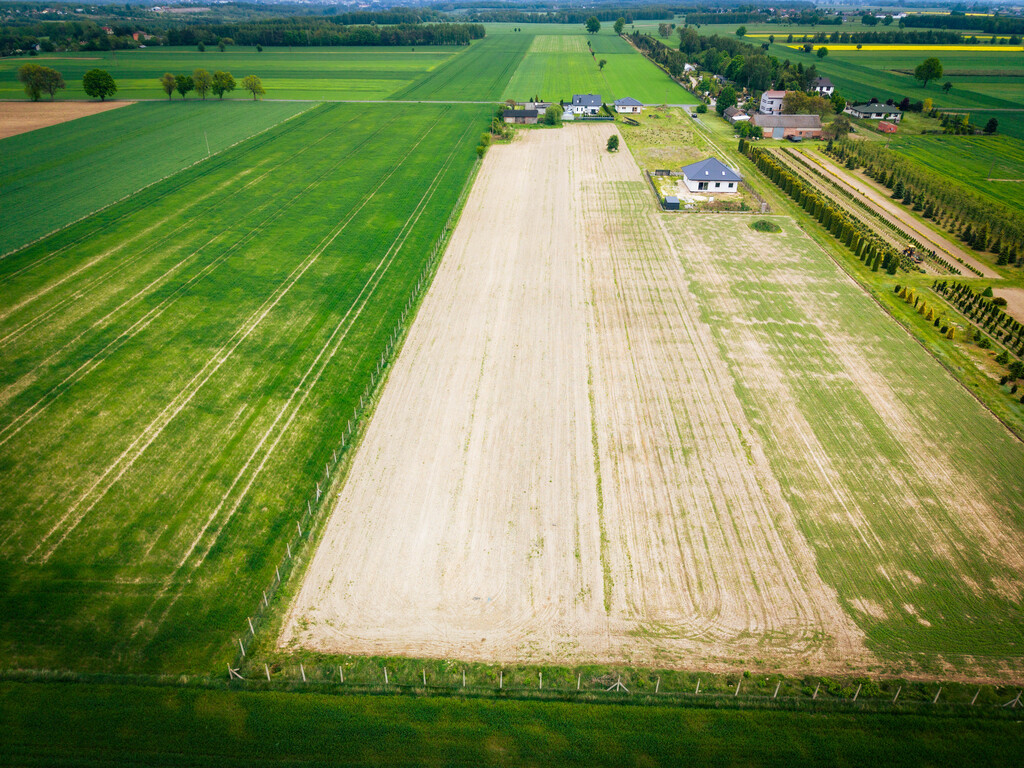 Działka 1000m2 Paprotnia – buduj się od zaraz!