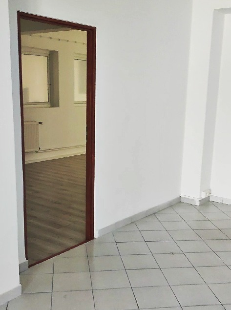 Lokal na wynajem funkcjonalny 110m2