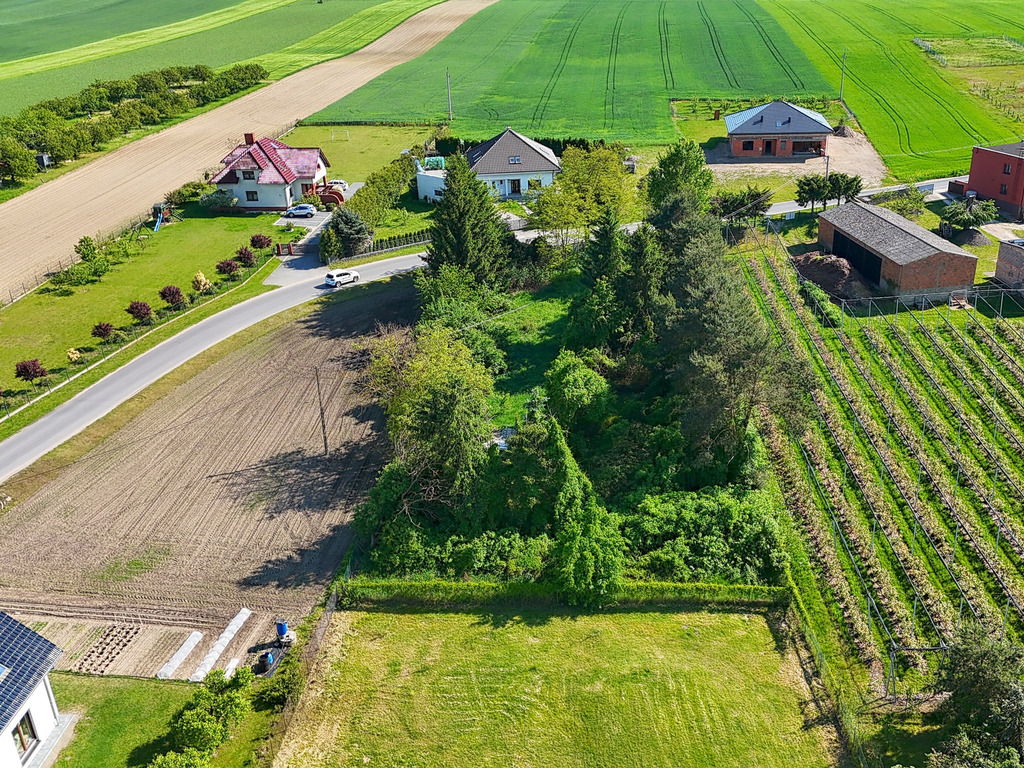 Działka budowlana | Mirosławki | 2000 m2 | natura