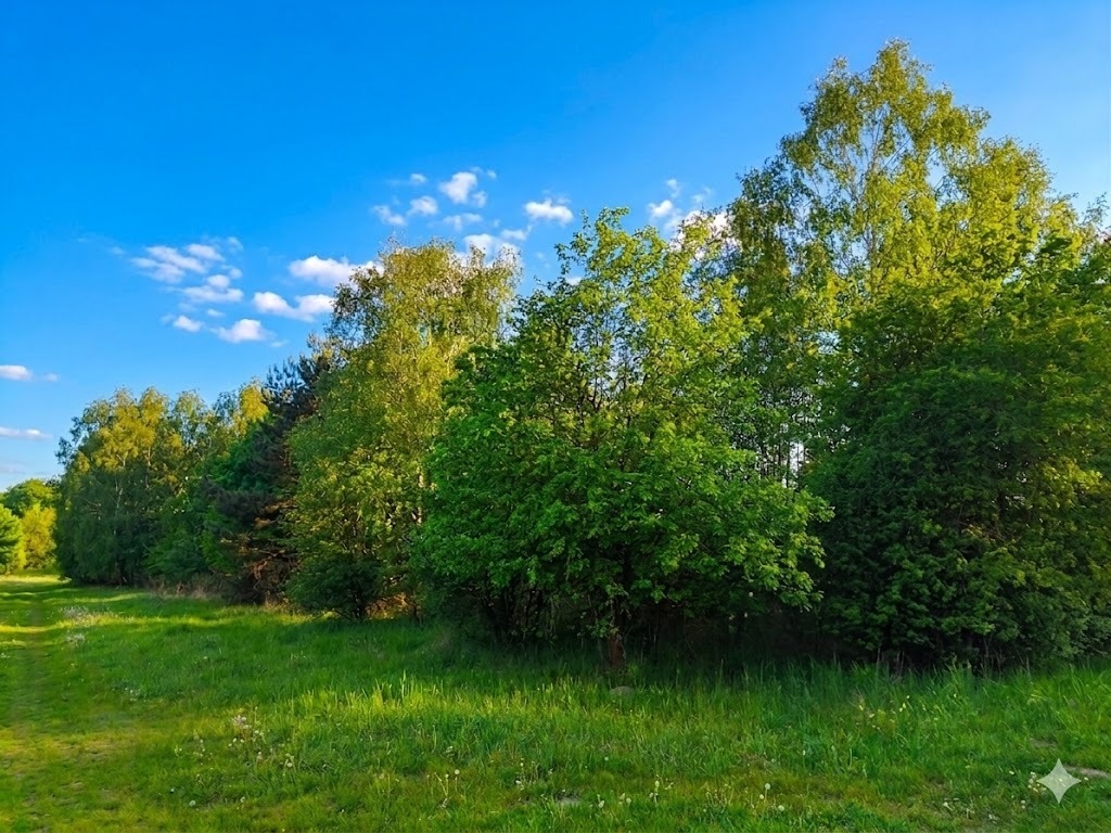 Wyjątkowa enklawa w otulinie Parku Krajobrazowego