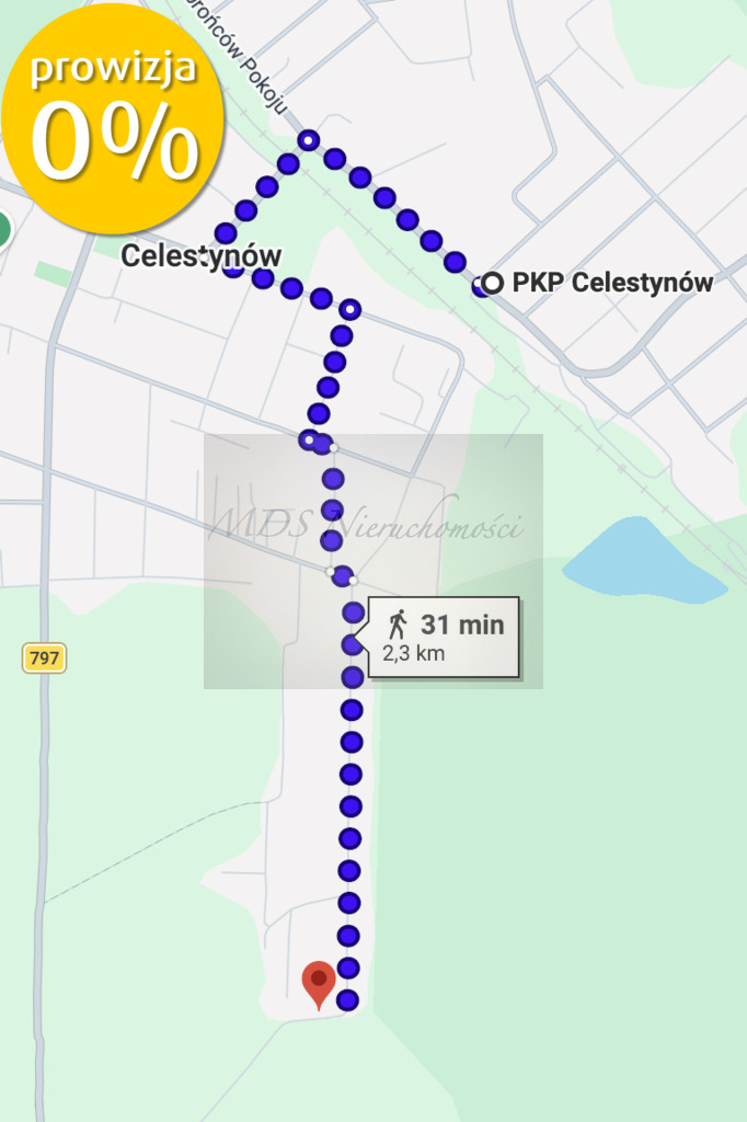 Regut działka z WZ dom jednorodzinny