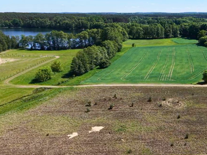 Mierzyn | jezioro - Puszcza Notecka – 1139 m² z WZ