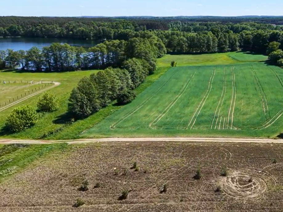 Mierzyn | jezioro - Puszcza Notecka – 1139 m² z WZ