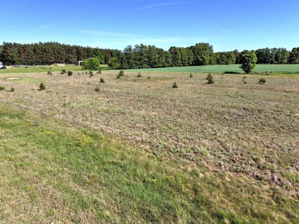 Mierzyn | jezioro - Puszcza Notecka – 1139 m² z WZ