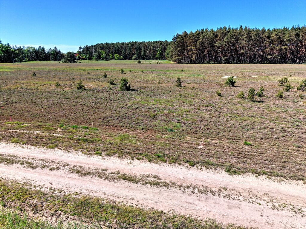 Mierzyn | jezioro - Puszcza Notecka – 1139 m² z WZ
