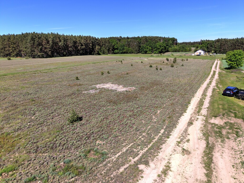 Mierzyn | jezioro - Puszcza Notecka – 1139 m² z WZ