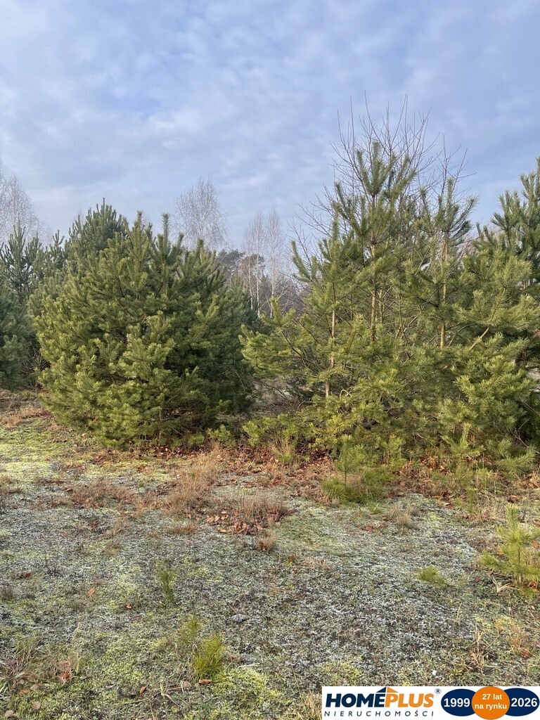 Działka 1000 m² pod zabudowę letniskową.