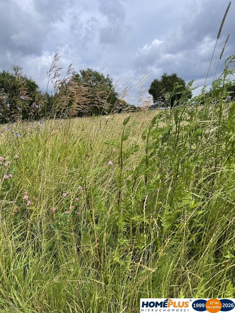Działka 10 244 m² zabudowa mieszkaniowa i usługi