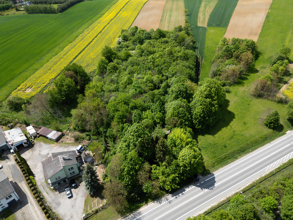 Działka inwestycyjna, usługowa 7426m2 Opatów