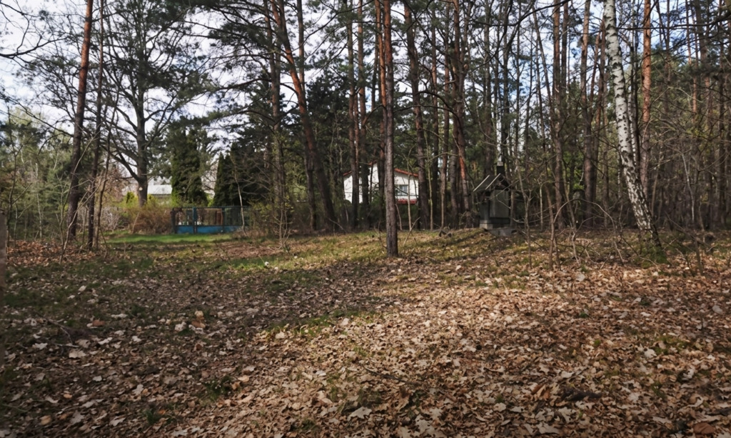 Rosanowów, działka 4126 m² z potencjałem podziału