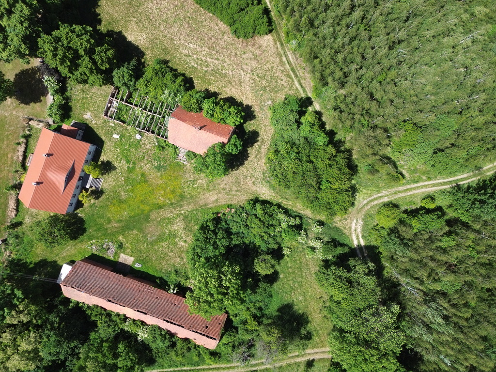 Siedlisko z duszą–2,26 ha prywatności pod Lubinem