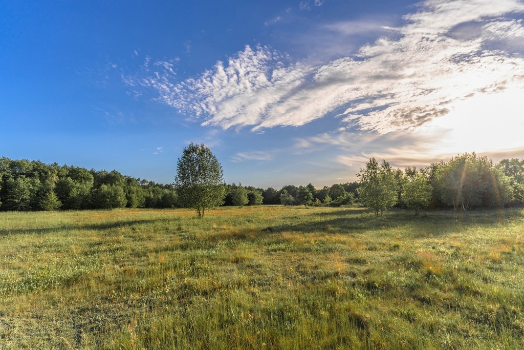 Gotowy teren inwestycyjny blisko A2
