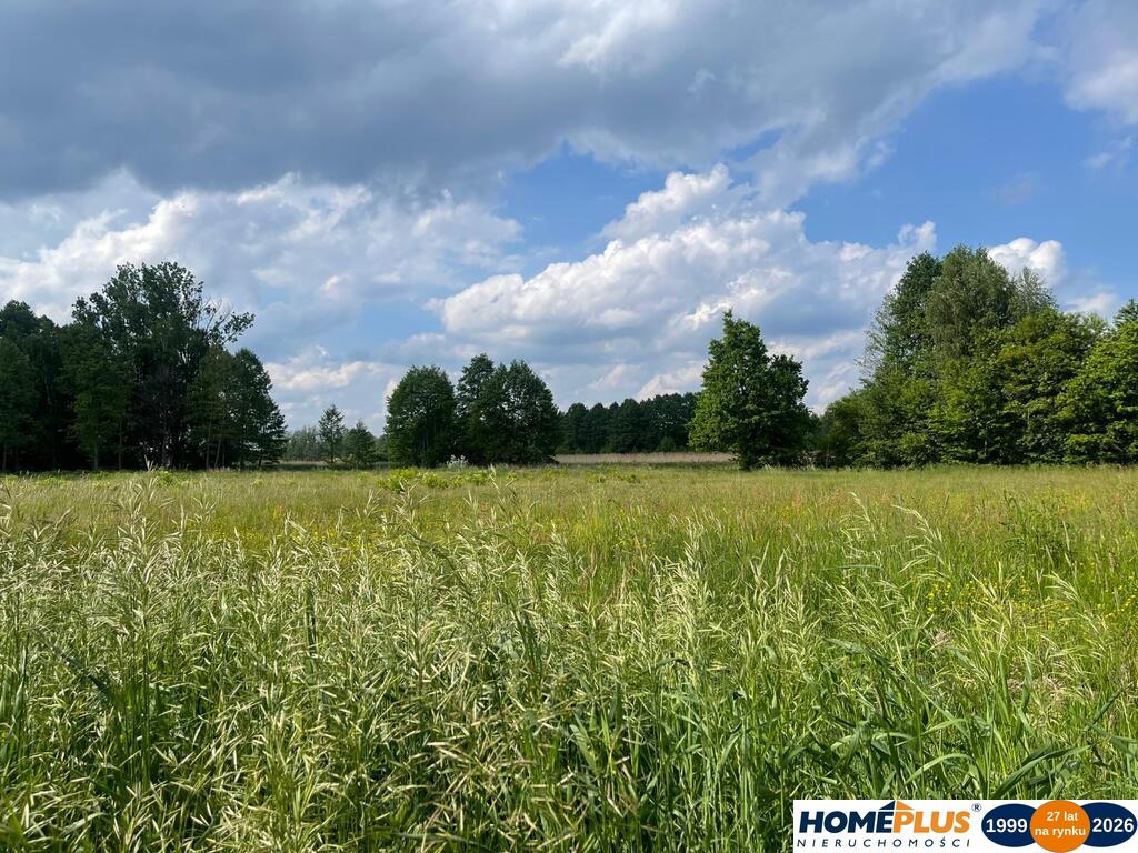 8808 m² pod zabudowę jednorodzinną i usługi.