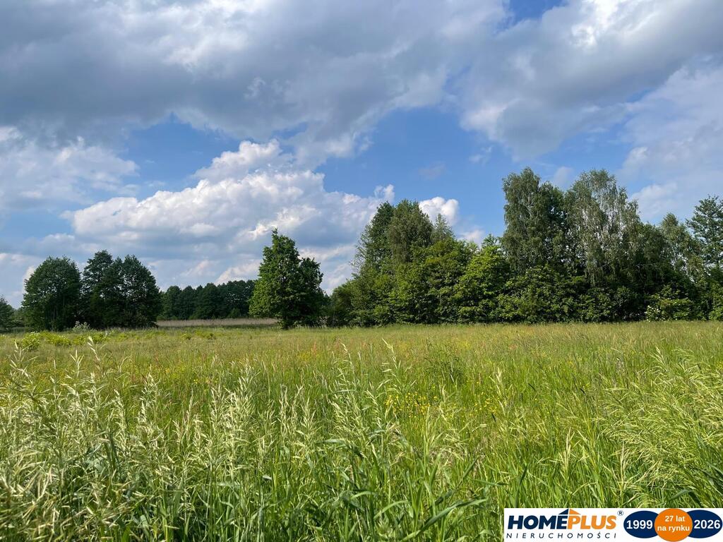 8808 m² pod zabudowę jednorodzinną i usługi.