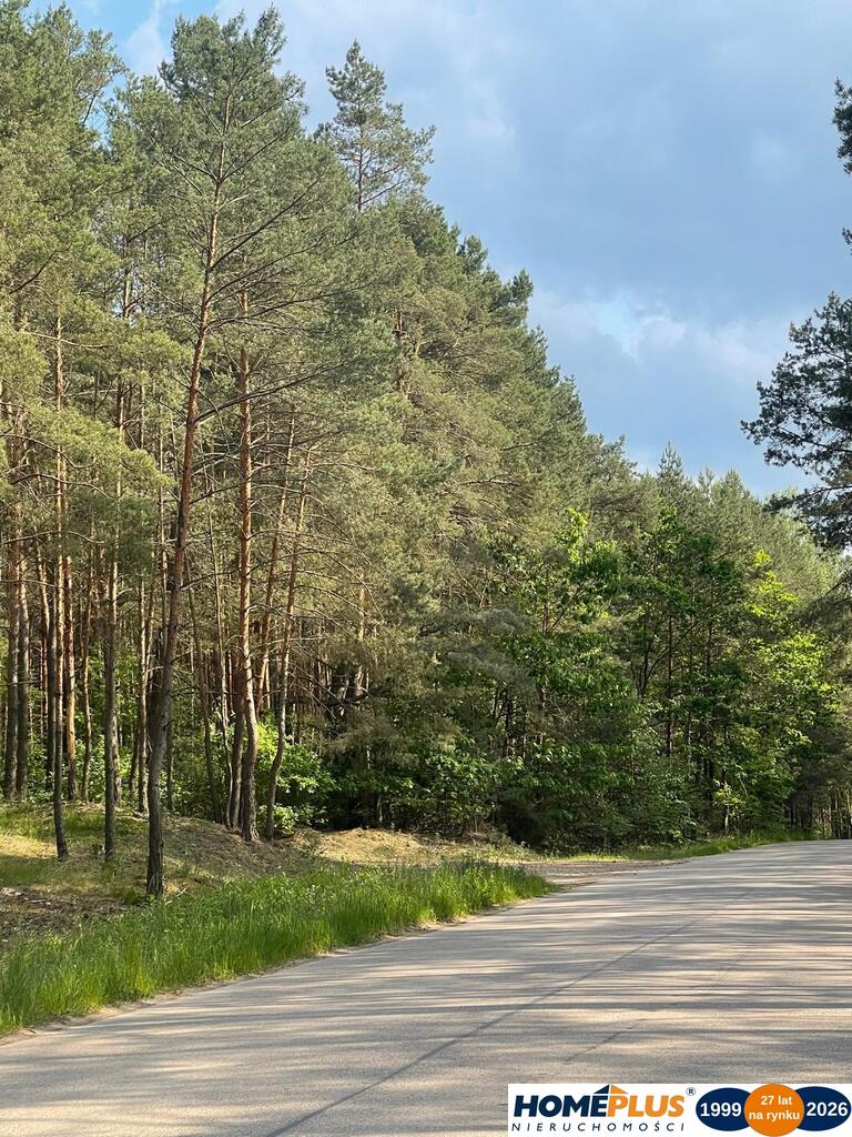 8808 m² pod zabudowę jednorodzinną i usługi.