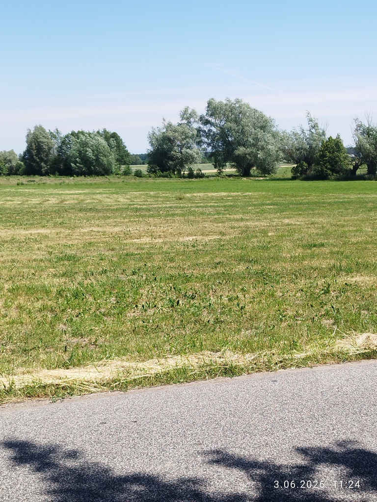 Działka rolno-budowlana 3503 m² Albinów Głowno
