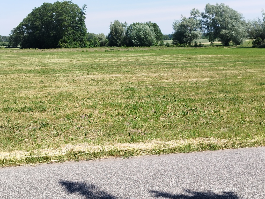 Działka rolno-budowlana 3503 m² Albinów Głowno