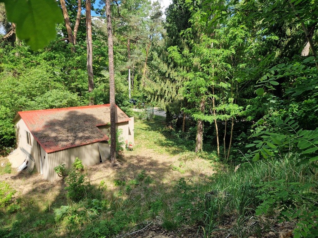 Za tanio na taką działkę? Sprawdź haczyk!