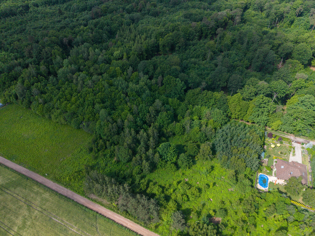 Twoja własna oaza przy rezerwacie
